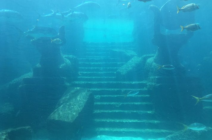 Kayıp Kıta Atlantis 1 atlantis