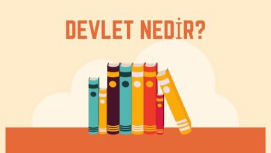 devlet nedir