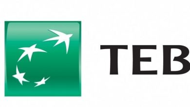 teb