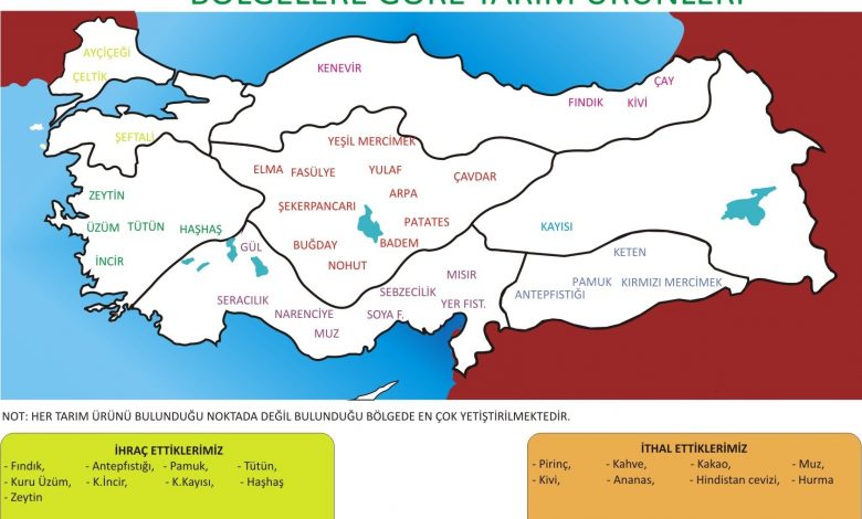 türkiye tarım haritası